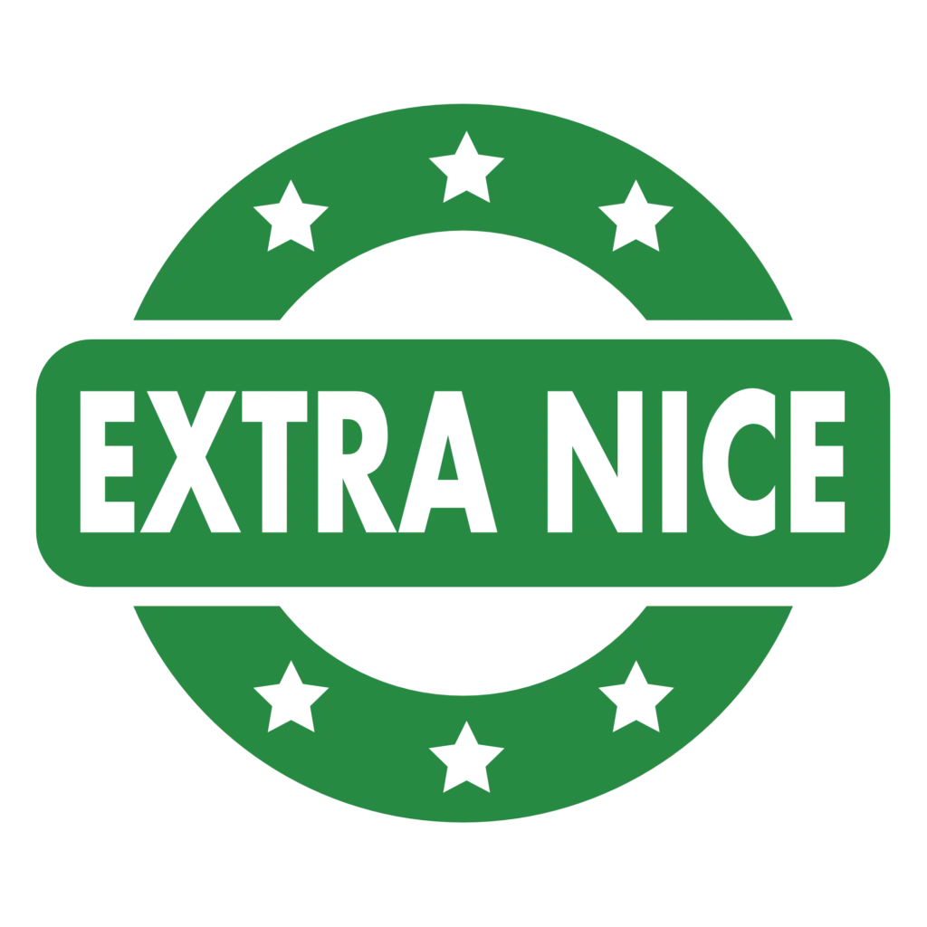 extra nice logo